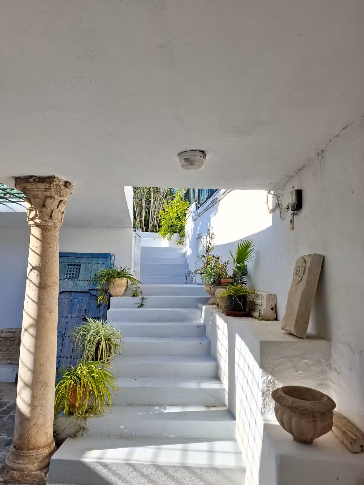 Escalier de pierre blanchie descendant vers L'Atelier, colonne ancienne et plantes
