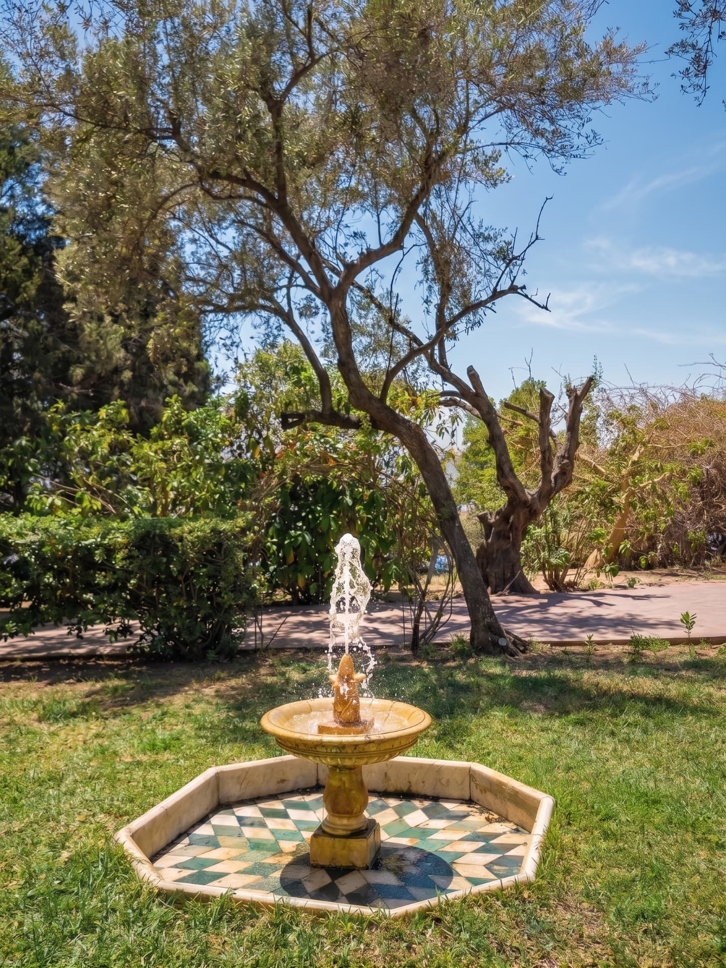 Fontaine dorée dans un bassin de carreaux verts sous un olivier